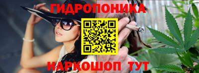 хмурый Дмитров