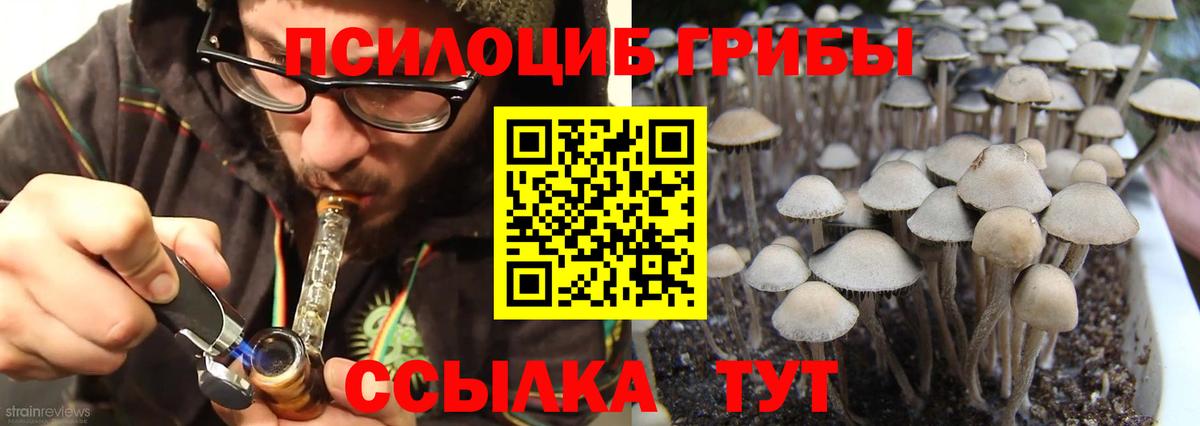 Галлюциногенные грибы Cubensis Городец