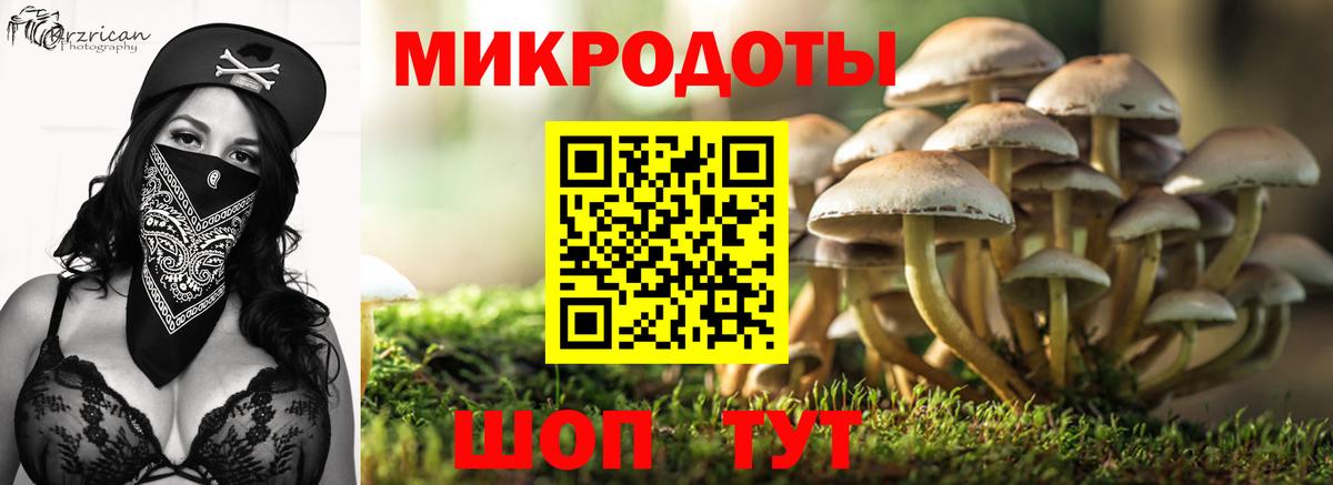 Псилоцибиновые грибы Psilocybine cubensis  Вход с VPN  Городец 